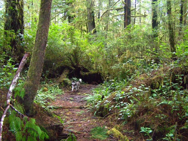 Part of Wild Side Trail